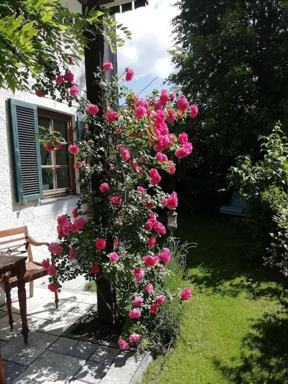 'Sissi' Ein Zaubehaftes Apartement Im Modernen Landhausstil Oberammergau Buitenkant foto