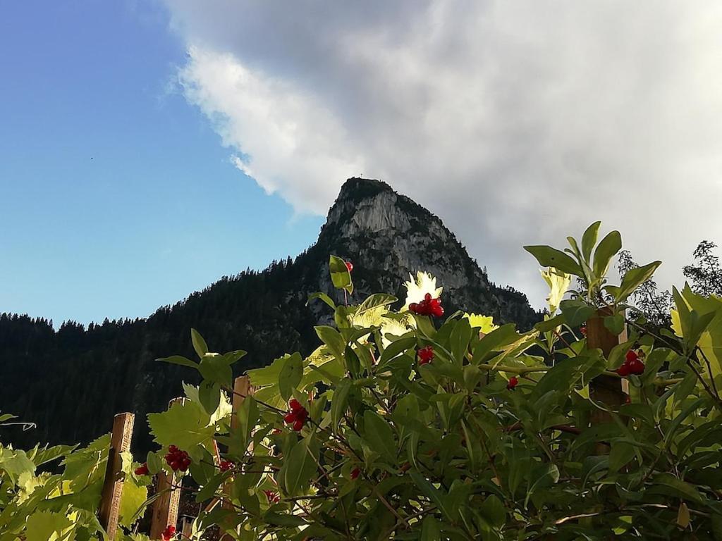 'Sissi' Ein Zaubehaftes Apartement Im Modernen Landhausstil Oberammergau Buitenkant foto
